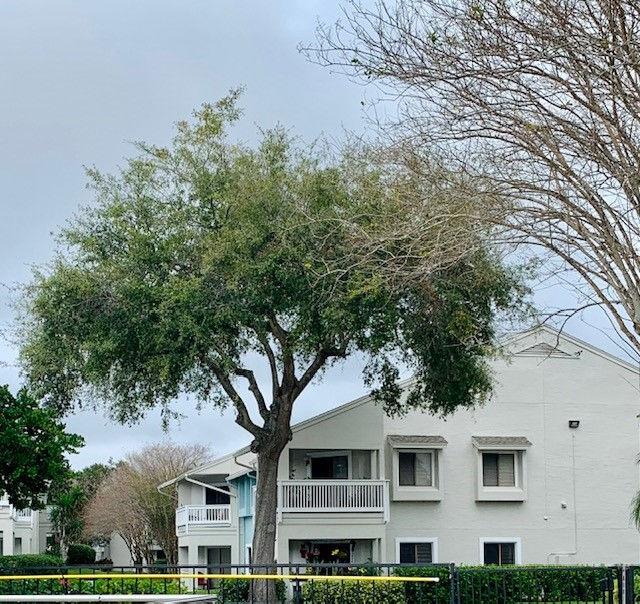 Lakeshore at Altamonte Springs Image 69