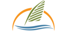 Palm Port