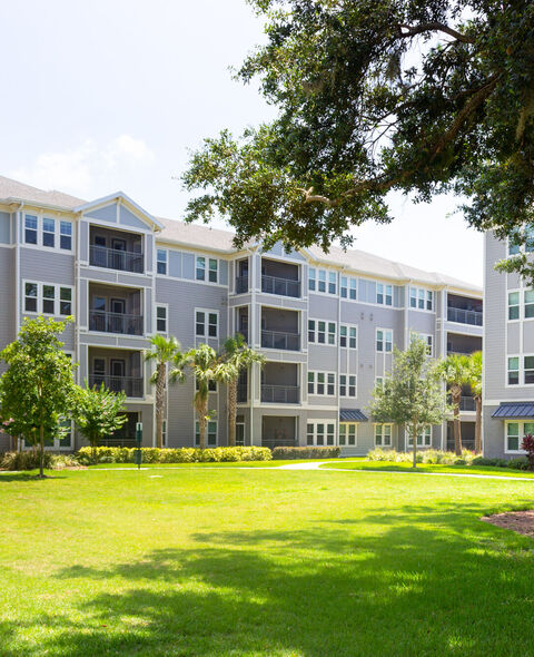 Venue at Live Oak