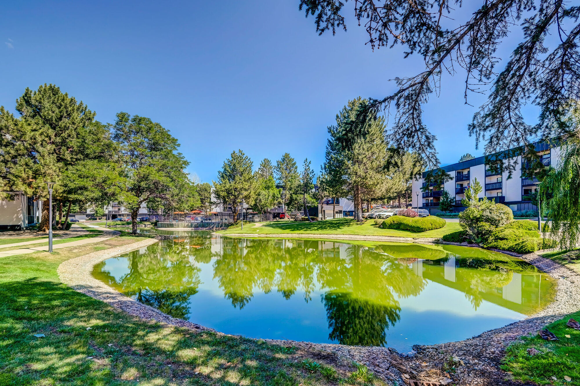 Sage at Panorama Image 31
