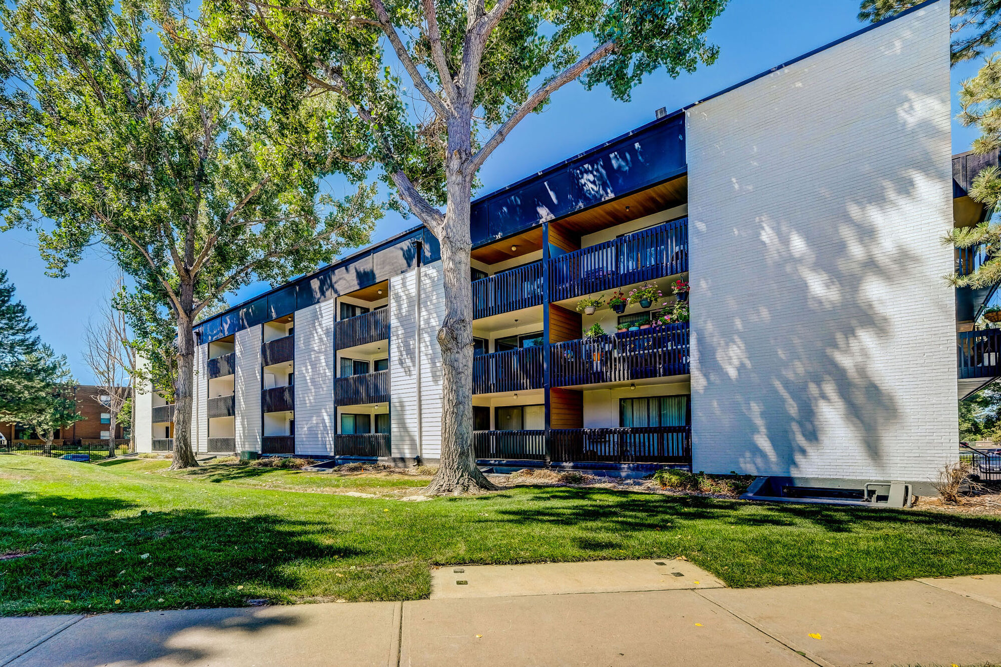 Sage at Panorama Image 46