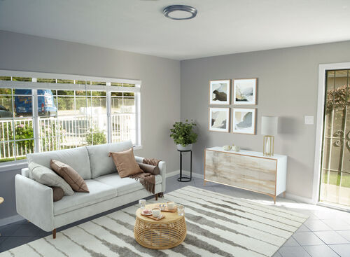 Living room furnished with a white rug and white sofa among modern decor