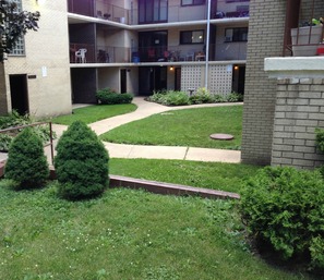 Contact Meadowview