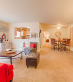 Apartments at Pine Brook