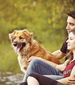 Apartments at Pine Brook