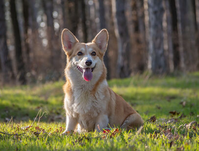 1 bed: Beds - 1: Baths - 1.25: SqFt Range - 1750 to 1750