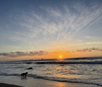 beach, ocean