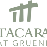 1-bedroom apartment at Tacara Gruene in New Braunfels