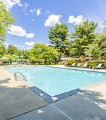 Apartments at Pine Brook