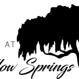 2-bedroom apartment at Villas at Willow Springs in San Marcos