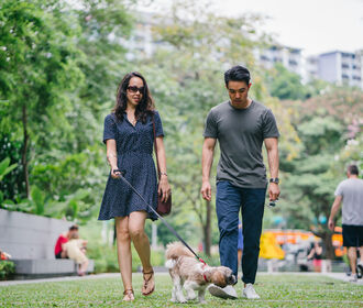 Camellia Village Apartments