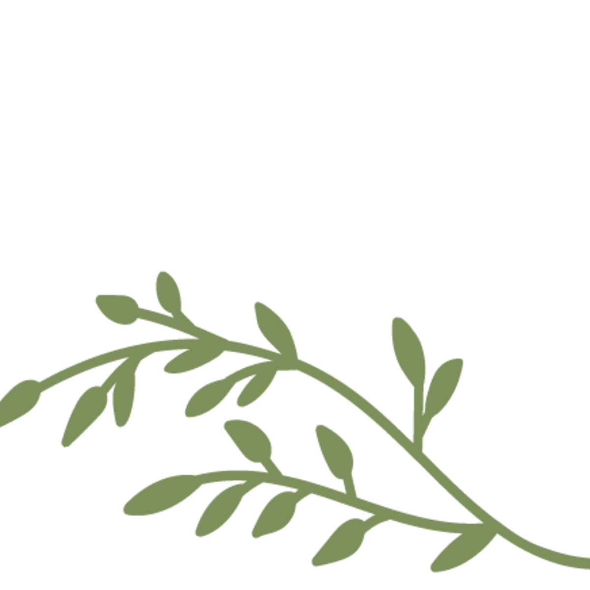 apartment-rental-amenities-in-panama-city-fl-the-arbors-15th-i