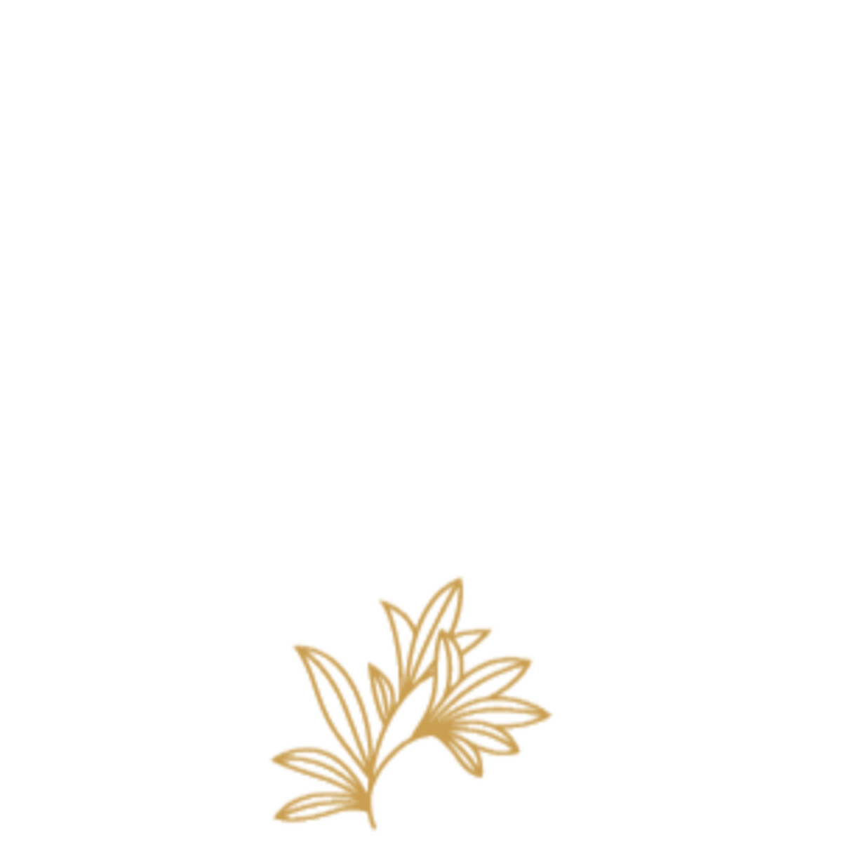1 3 Bedroom Apartments Charlotte NC Alta Croft 1-3-bedroom-apartments-charlotte-nc-alta-croft