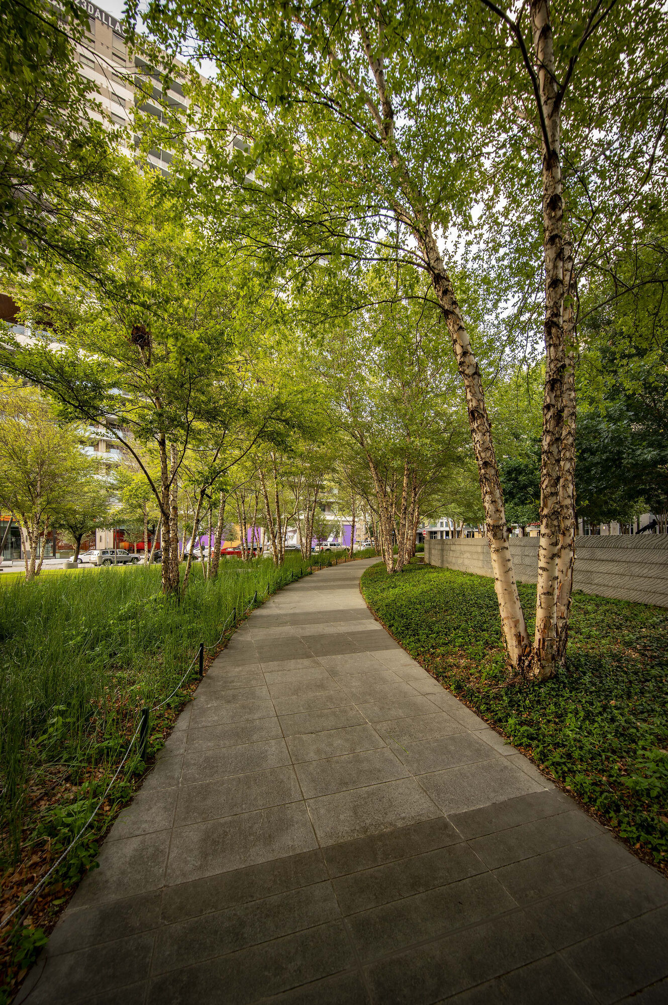 The 23 Image 75