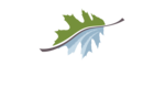 Saxon Pond Flats