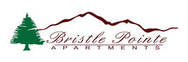Bristle Pointe Apartments