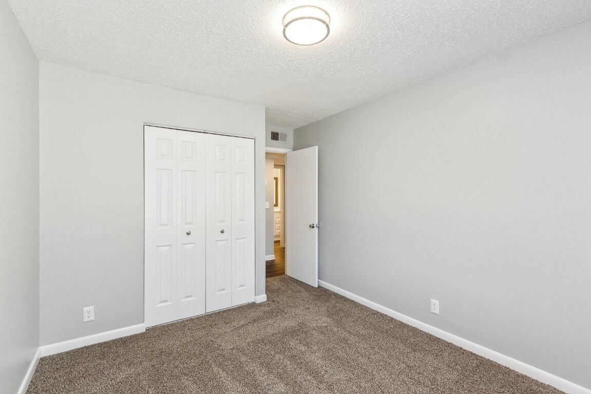 173054689.jpg