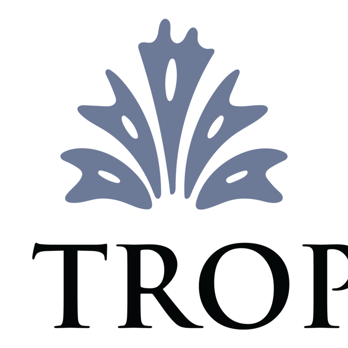St. Tropez Luxury Townhomes & Villas