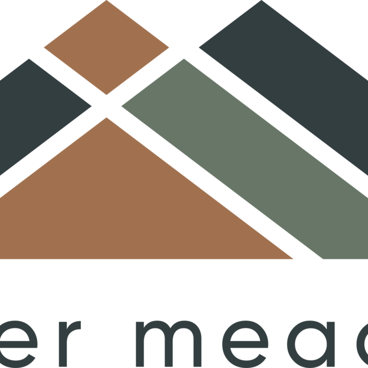 Amber Meadows in Longview, TX