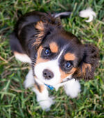 Sandstone Apartments