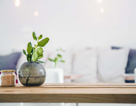 Monterrey Apartments and Townhomes