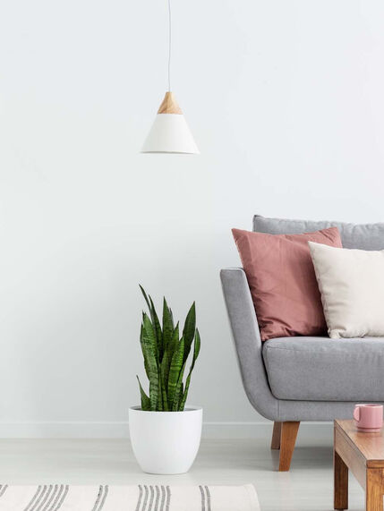 The Park at Blanding