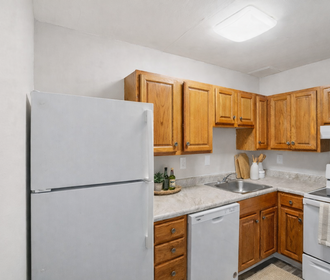 Spring Brook Village