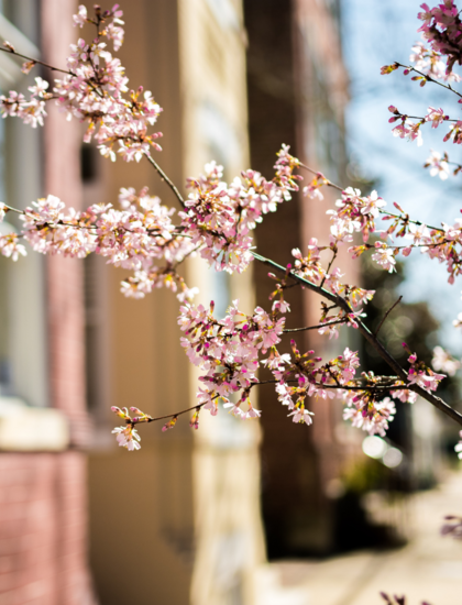 Beverly Park Apartments