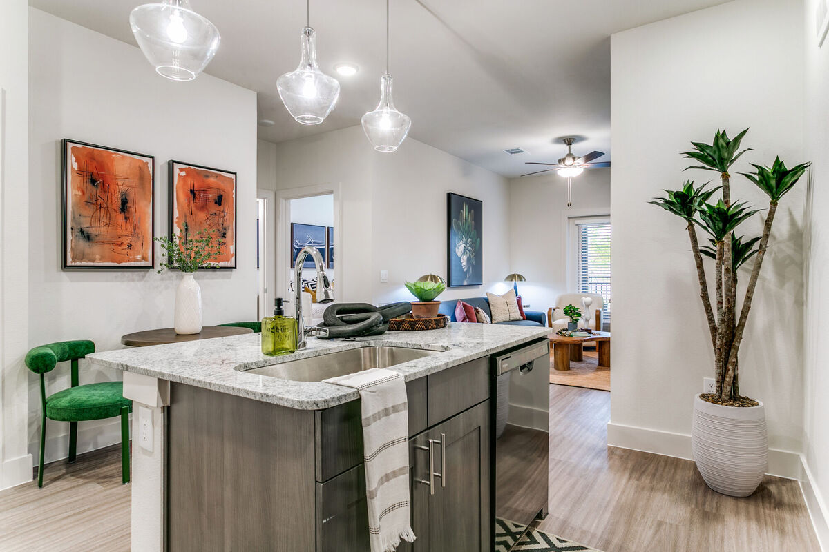 Palladium Lewisville apartment photo