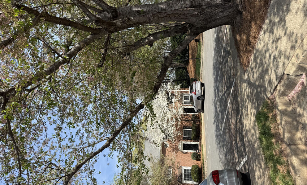 Park Place