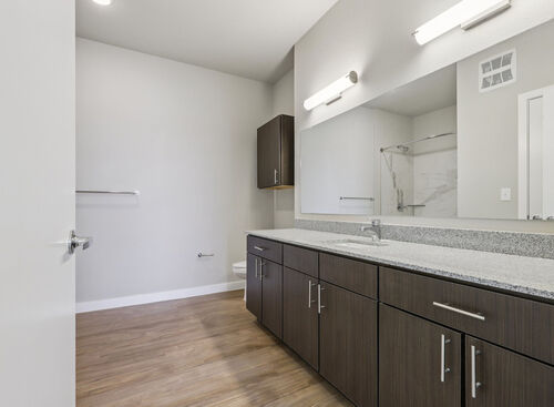 B1 - Primary Bathroom