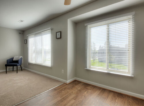 Expansive Windows