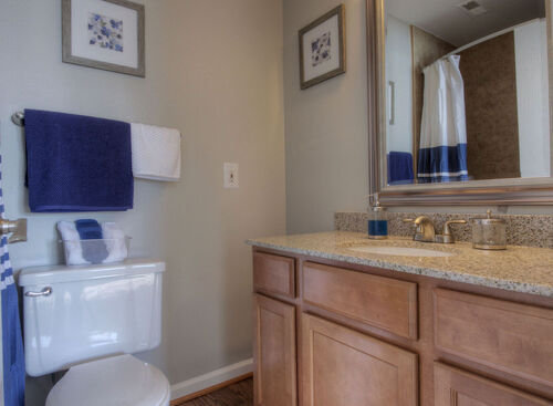 Primary Bathroom Suite