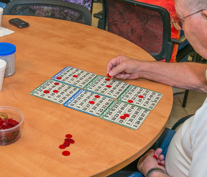 Pathways on the Park