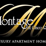 Studio apartment at Montage at Cinco Ranch Apartments in Katy