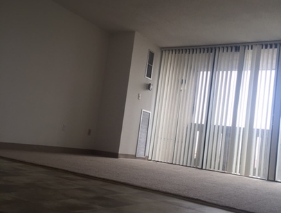 1 Bedroom 1 Bath - Balcony: Beds - 1: Baths - 1: SqFt Range - 700 to 700