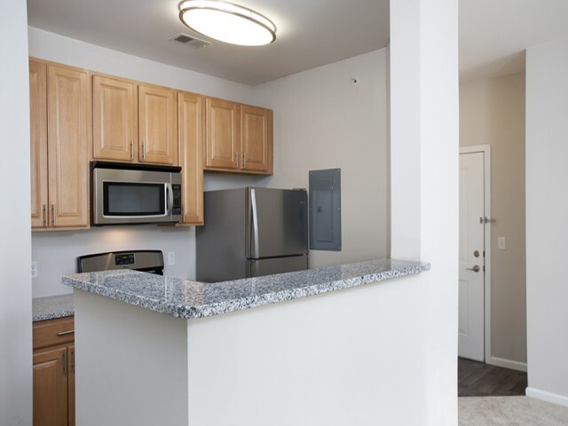 Newly Renovated!