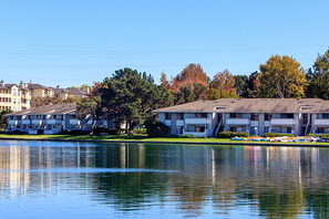 Contact Beach Cove L Apartments