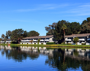 Sand Cove