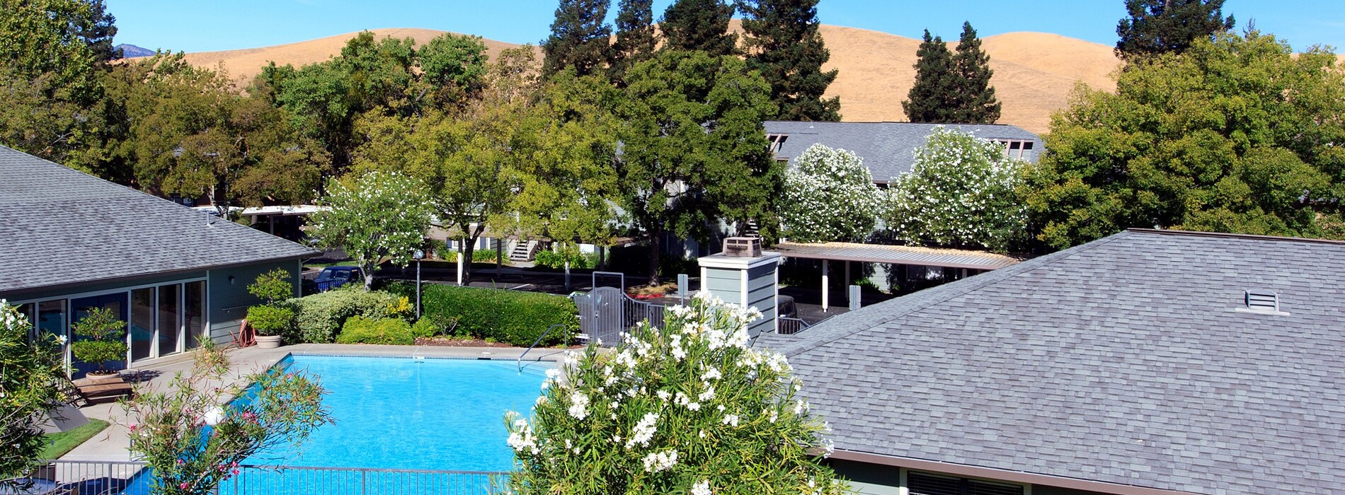 The Pointe Apartment Homes