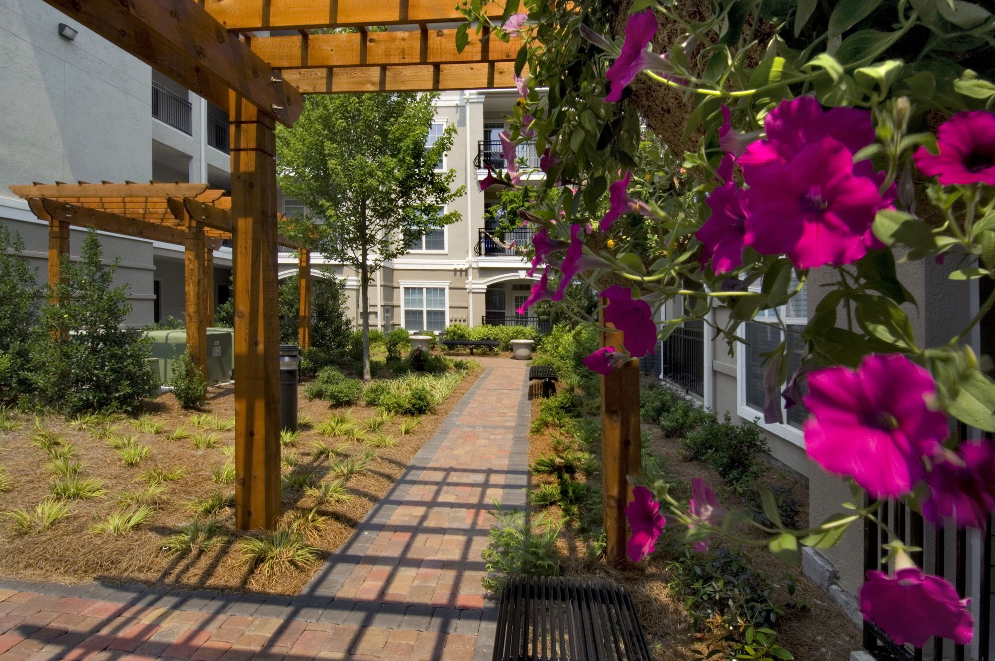 Avana Uptown Image 53
