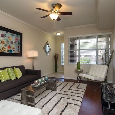 Southside Apartments Jacksonville Fl At Avenue Royale Living Room