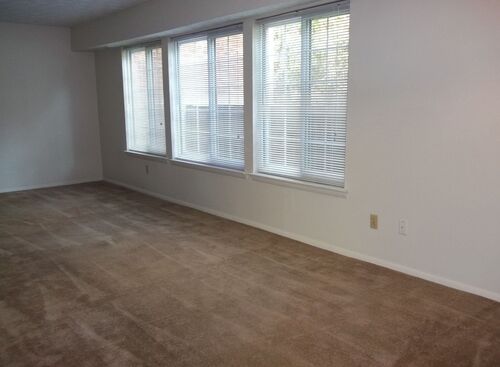 Studio: Beds - Studio: Baths - 1: SqFt Range - 460 to 460