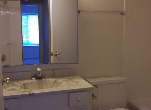 apartments for rent in rochester ny windsor gardens home