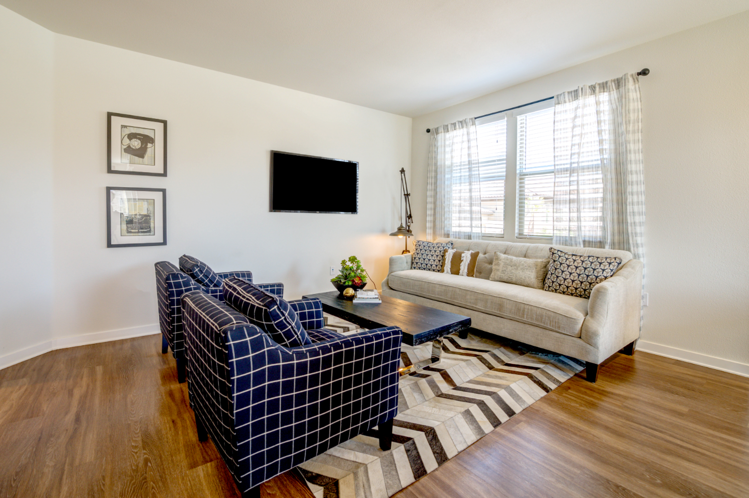Model Living Area