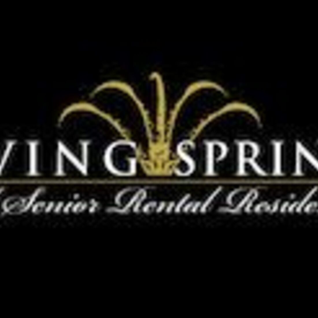 Living Springs Manor photo