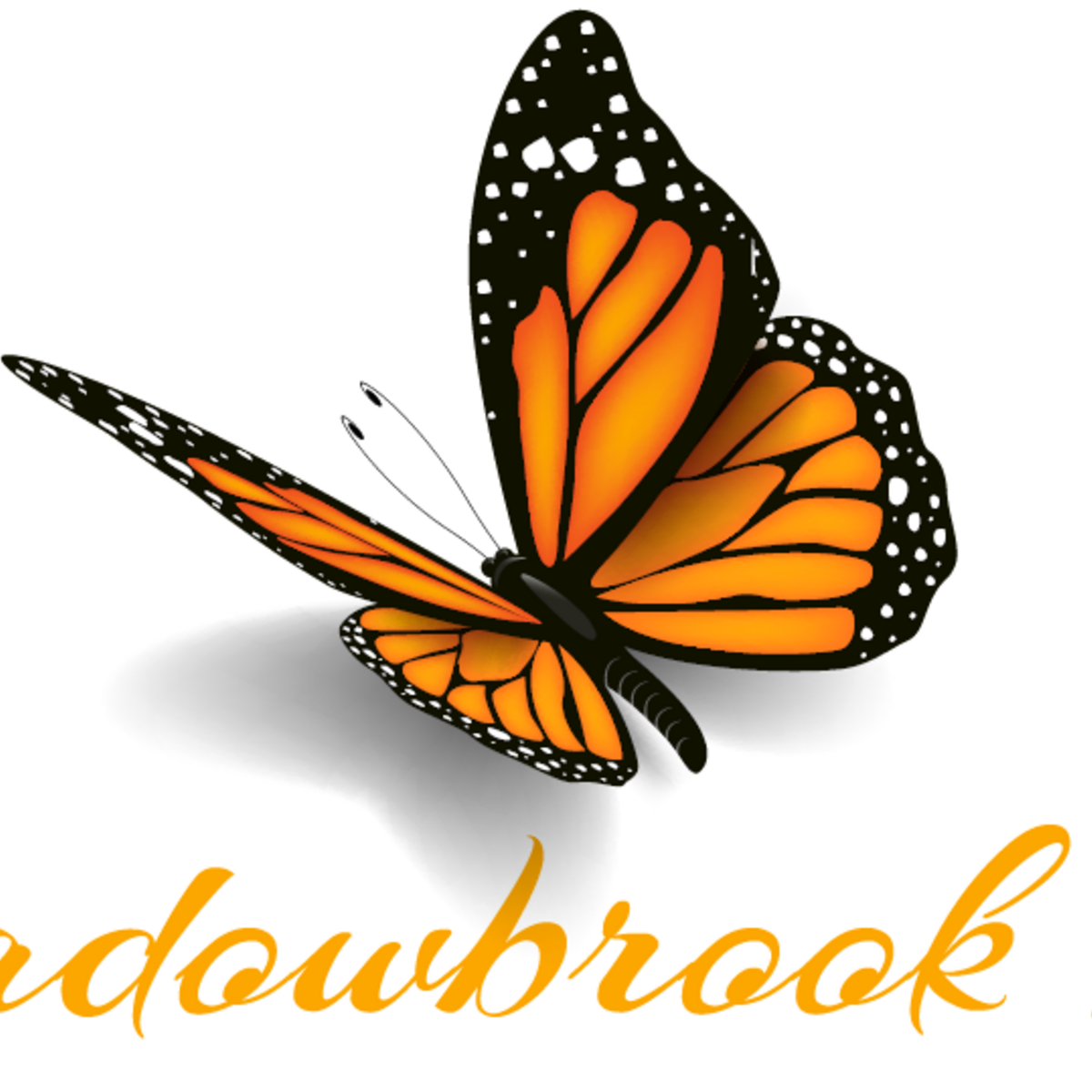 Meadowbrook Park apartments apartments in Monroe, LA