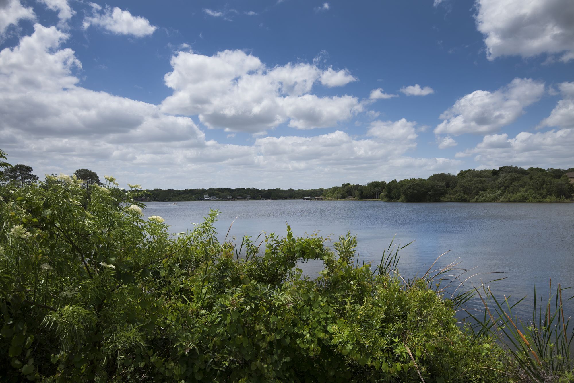 Lakeshore at Altamonte Springs Image 114