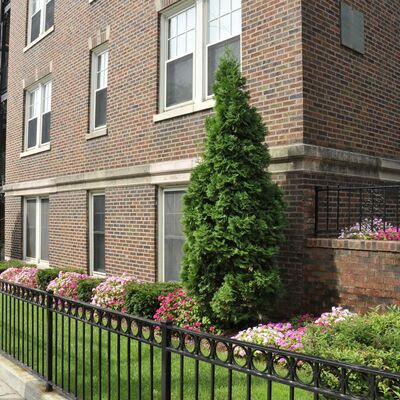 Apartments For In Dorchester Ma Ng Court Home Ng Court