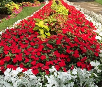 View Gallery